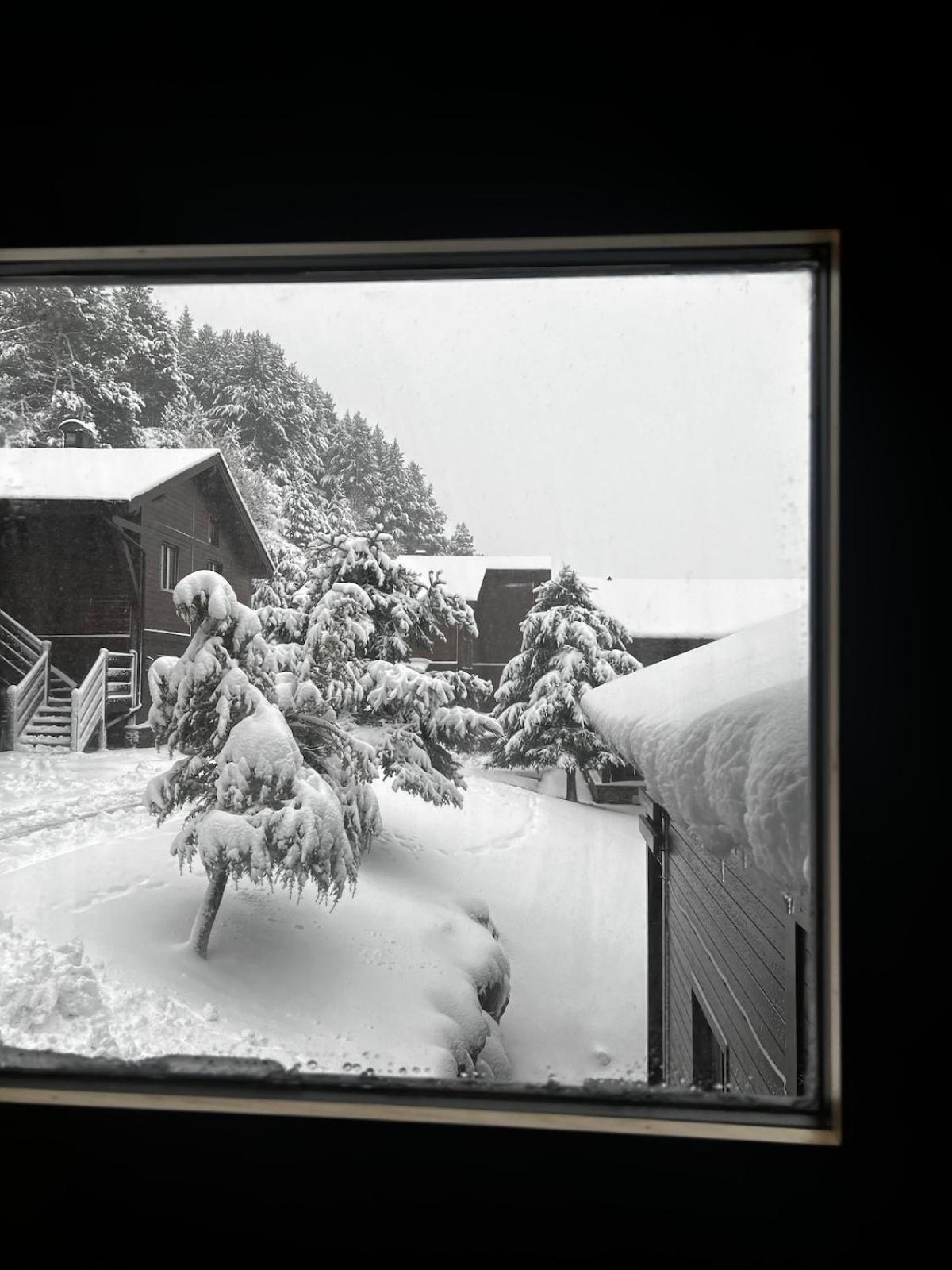 Exclusiva Cabana En Incles - Vistas Al Valle & Pistas De Ski Grandvalira - Free Parking Canillo Eksteriør bilde